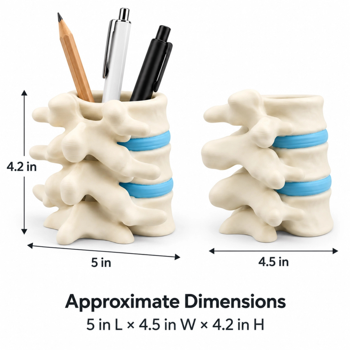 Vertebrae Pen Holder
