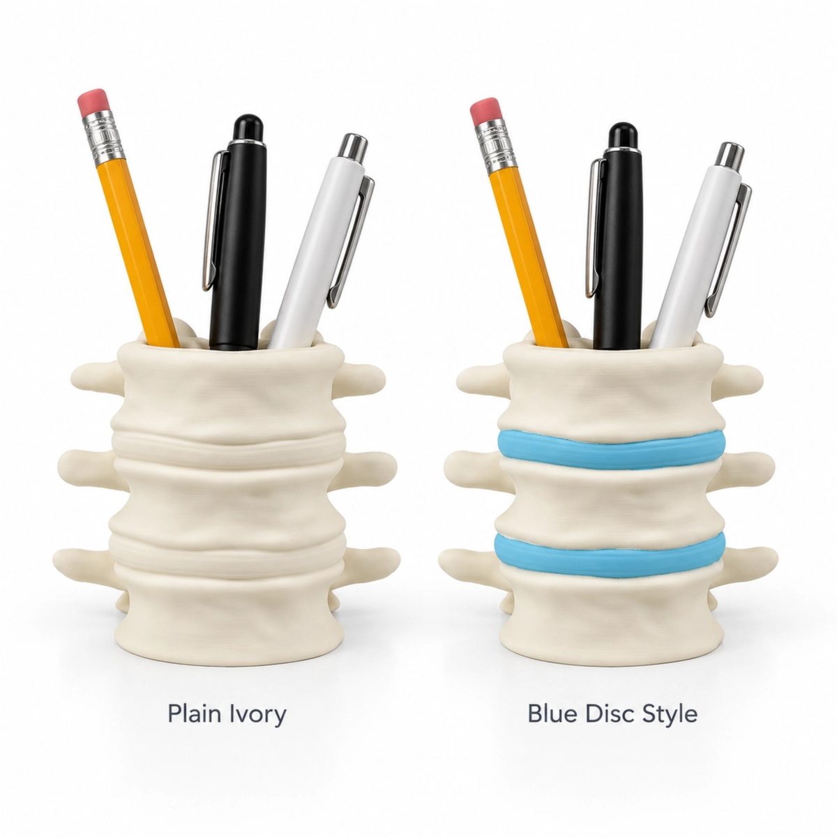 Vertebrae Pen Holder
