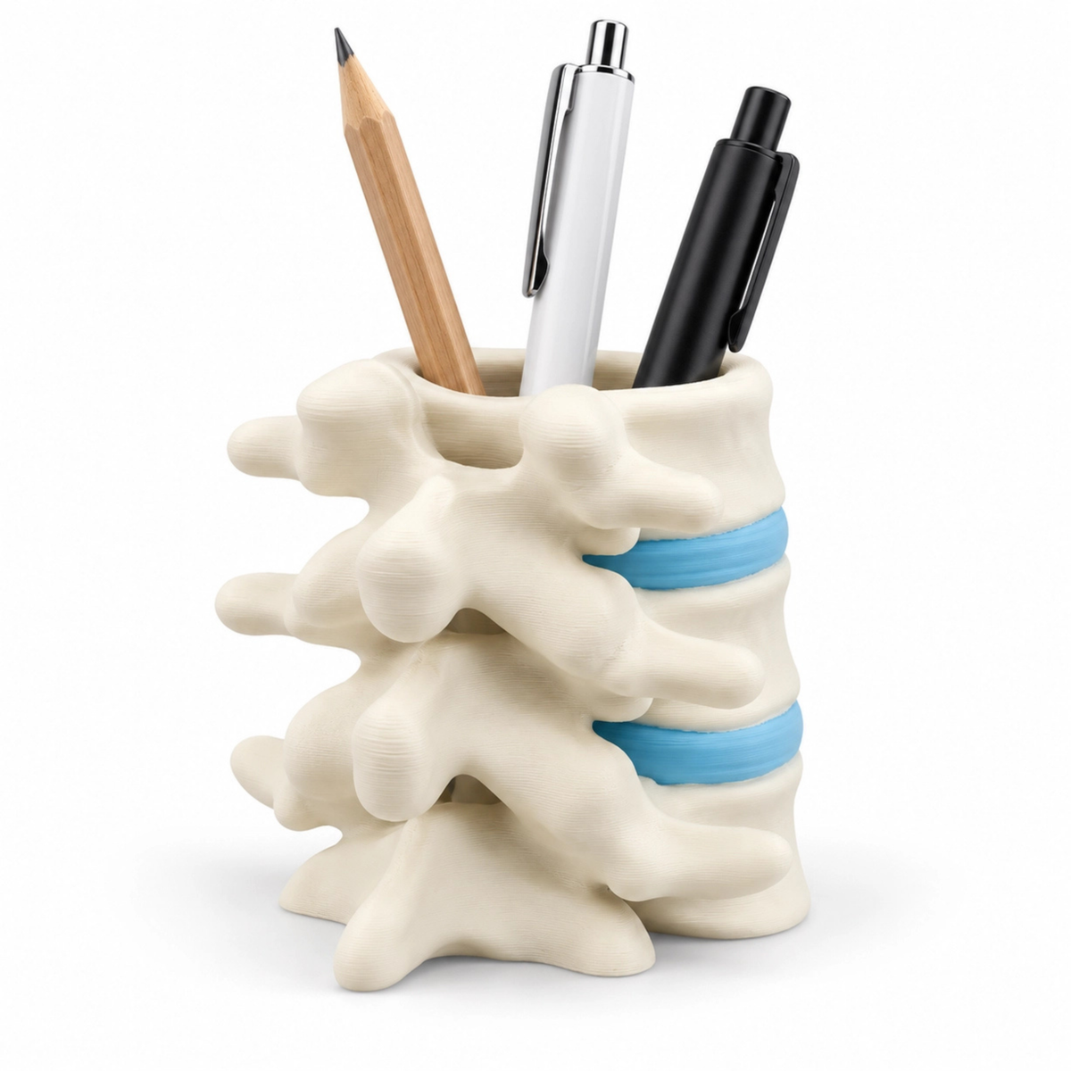 Vertebrae Pen Holder