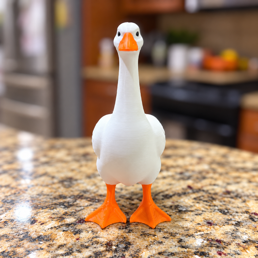 The Silly Goose
