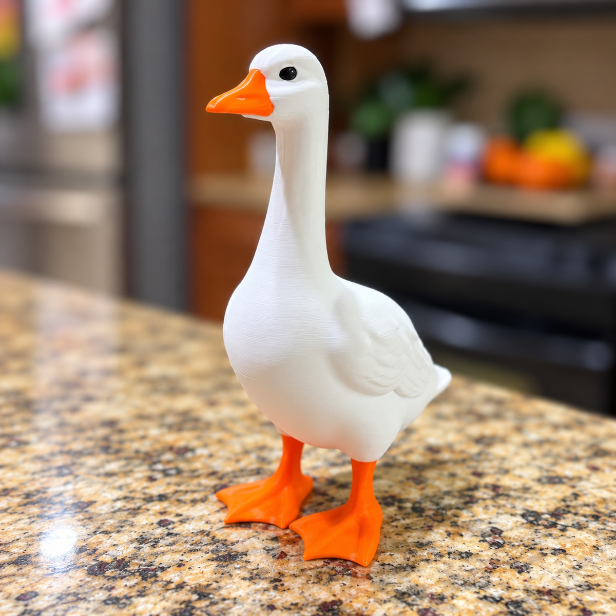 The Silly Goose