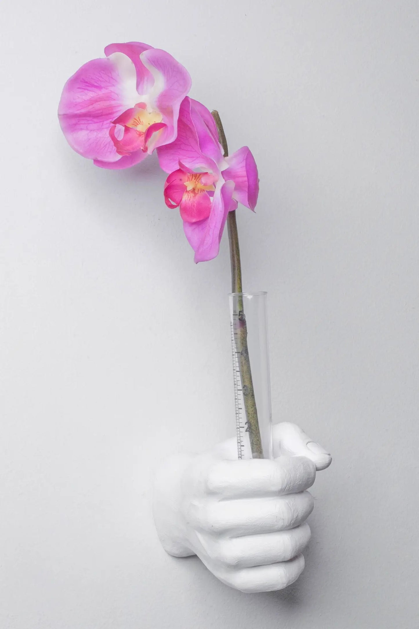 Hand Wall Flower Vase